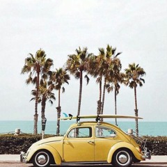 Set Summer Vibes 'PFB