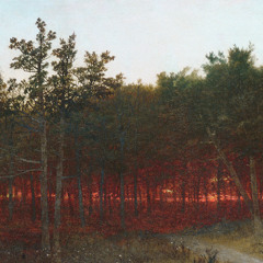 Twilight in the Cedars