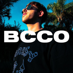 BCCO Mix Series 386: Pixie Bob