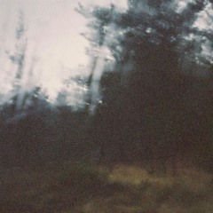 disc [michael harrison]