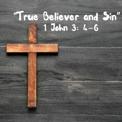 The True Believer and Sin