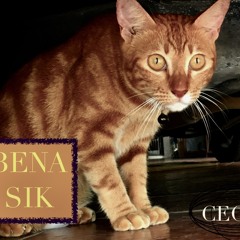 CECEN - BENA SIK