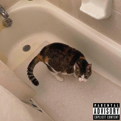 Stream Cold, like ice by realfrank_ | Listen online for free on SoundCloud