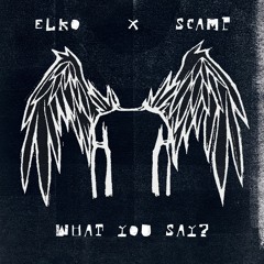 what you say? - SCAMP x Elko