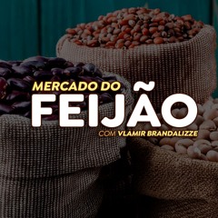 Frente fria em áreas de feijão preocupa produtores