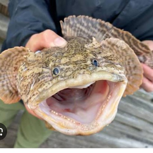 BankOnMello - Until you see me