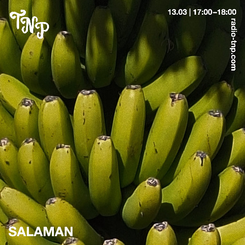 Salaman