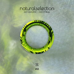 Episodio 68 - Natural Selection With ffina