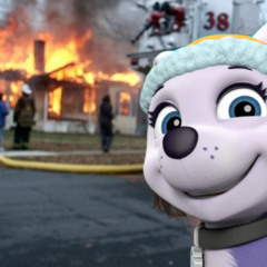 engine roll call cover