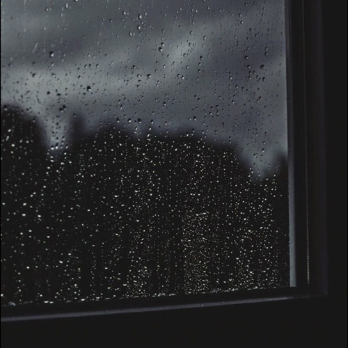 Nước Chảy Hoa Trôi - Nguyễn Trần Trung Quân | Cover