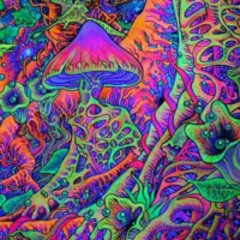 Onn1l - Psytrance Mix 3 [PSYTRANCE SET]