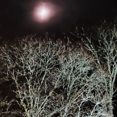 Christmas Must  Be Tonight