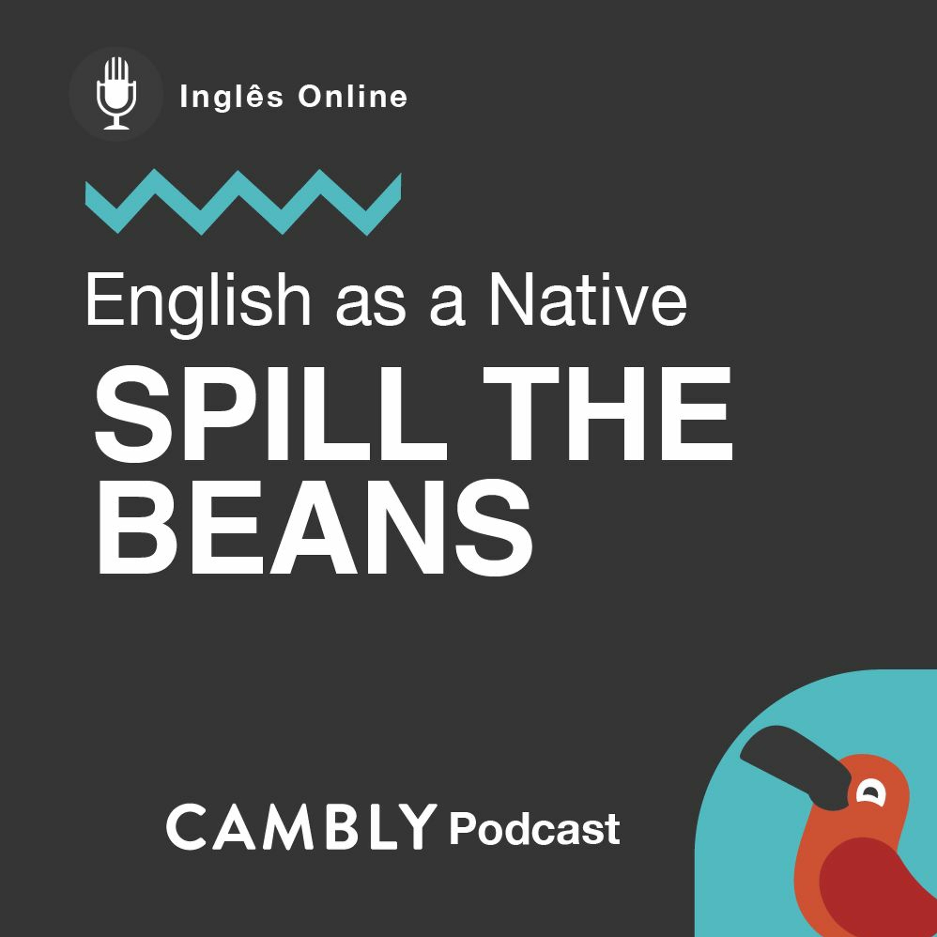 Ep 272. Você sabe o que significa"Spill the Beans"?| English as a Native