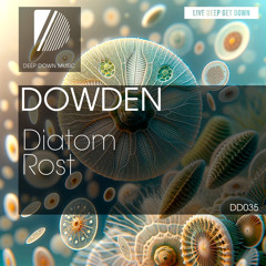 PREMIERE: Dowden - Diatom [Deep Down Music]