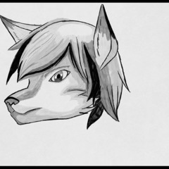 demo zannon koitsu vccv 2026