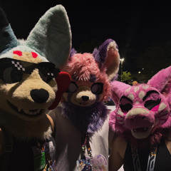 woodside gardens 16 december 2012