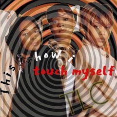 TLC  This Is How I Touch Myself illest Remix