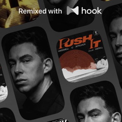 Hardwell x Hardwell - Push It x Judgement Day (@vr6sam Hook Mashup)