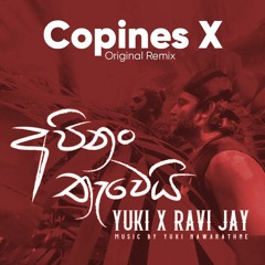 Copines X Api Nam Thawei (Original Remix)