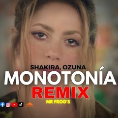 Shakira Ft Ozuna - Monotonia (Mr Frog's Remix