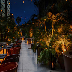 Nightlife Party (New ver.)