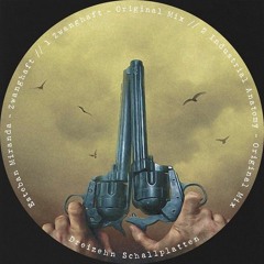 Esteban Miranda - Industrial Anatomy [Cut] Dreizehn Schallplatten