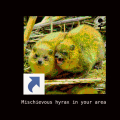 Mischievous Hyrax in your area