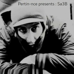 Pertin-nce presents Sa3b
