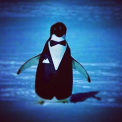 penguin tuxedo