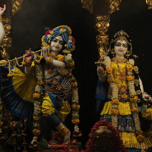 Gopi Geet by Taruni at SNGM Kirtan Mela 27.4.25