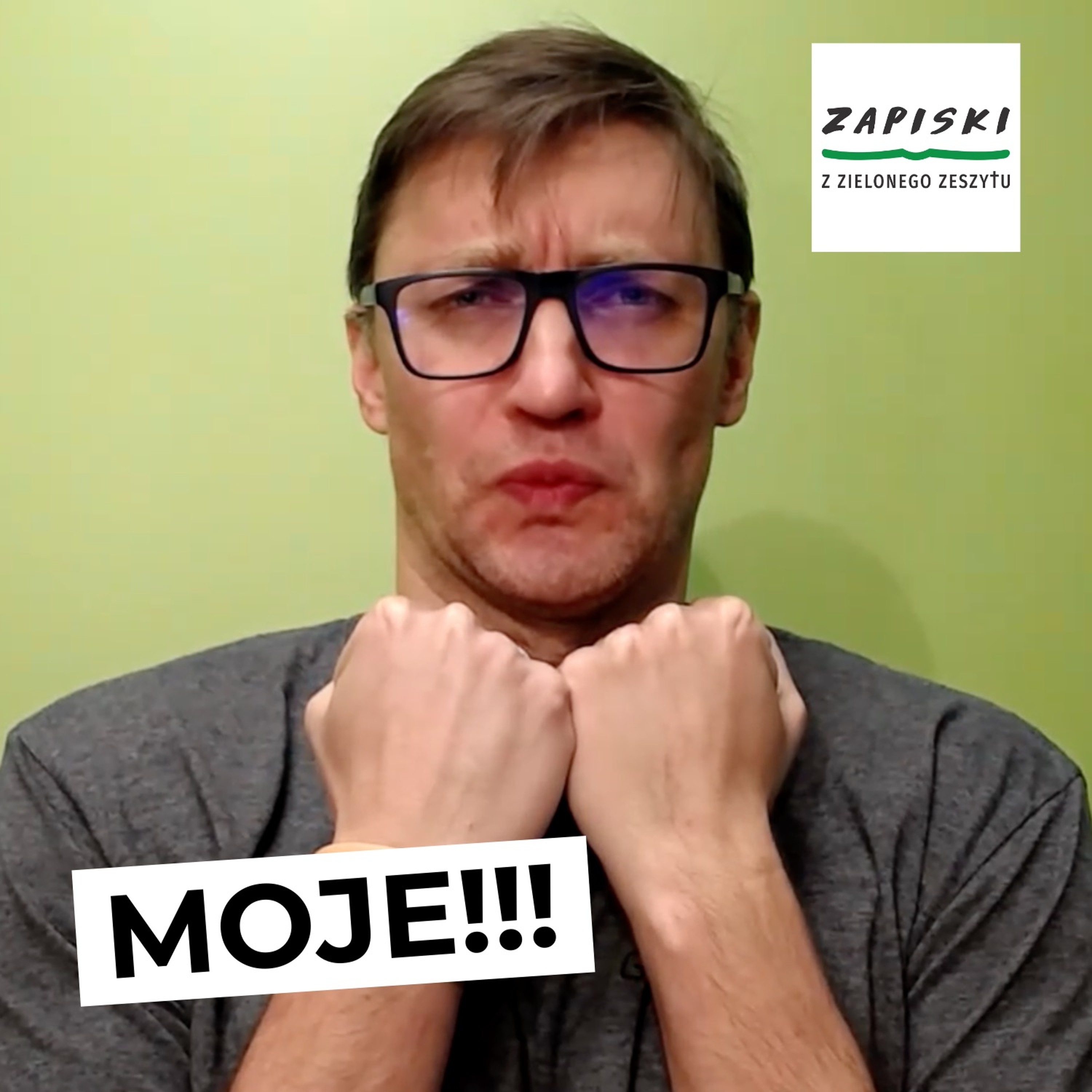 Zapiski z zielonego zeszytu