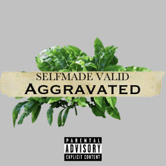 SelfMade Valid “Aggravated” (Unmastered)