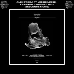 PREMIERE // Alex Preda - Fantasm Feat. Jessica Zese (Original Mix) [Sequence Music]