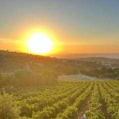 Crispy Liquid and Vocal DnB Mix 2025