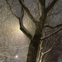 ▚≖⊆⪒▚≖⊆⪒▚≖⊆⪒▚≖⊆⪒▚≖⊆⪒   (+alongthewalls)