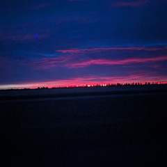 Cerebral - AMPAR ANTAGONIST (2013)