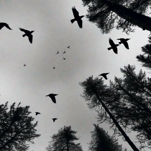 Nameless Mix 01