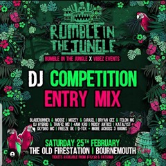 RITJ X VIBEZ Bournemouth - FELINE REFLEX Comp Entry Mix.WAV