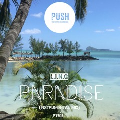 Paradise (instrumental Mix) ptb03
