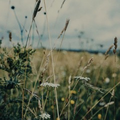 Spring Shades [June 2024]