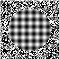 Spiral Tribe 23 Wox32live   Underground