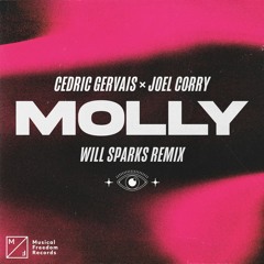Cedric Gervais & Joel Corry - MOLLY (Will Sparks Remix)