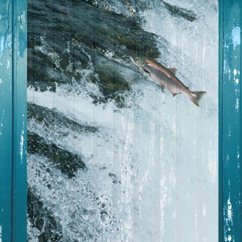 The Fish by Intact Sounds