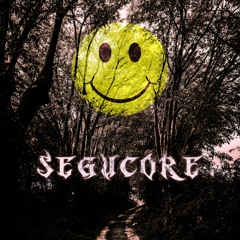 Acid Vibrations - Segucore