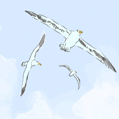 ‎⁨ يا أهل غزة كبروا  ⁩