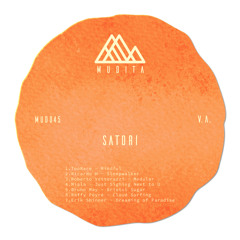 premiere: TooRare - Mindful (Original Mix) [MUD045]