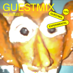 GUESTMIX - MUMMER