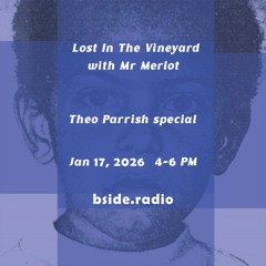 Lost In The Vineyard - January 2026 - Theo Parrish special