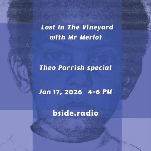 Stream Lost In The Vineyard - January 2026 - Theo Parrish special