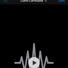 Cuero Carmusela (ft.14141414) (freestyle)